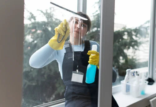 Nettoyage de vitres intérieures et extérieures à Clussais-la-Pommeraie